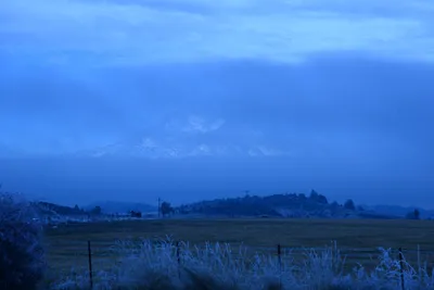 DSC_1111 (Large).JPG